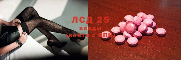 стафф Каменка