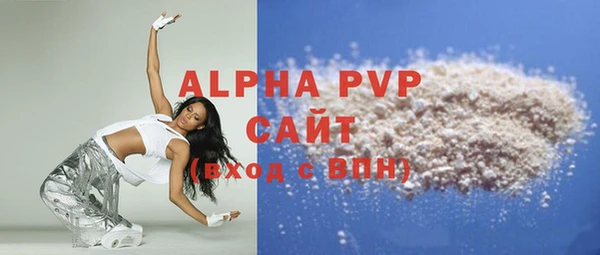 стафф Каменка