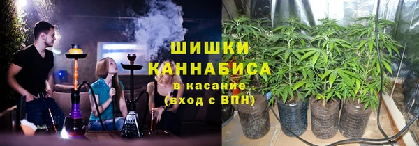 стафф Каменка