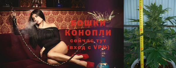 молекула духа Карпинск