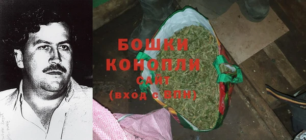 хмурый Каменногорск