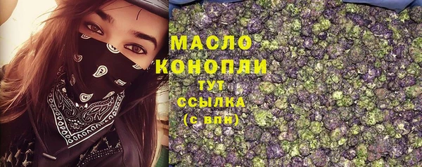 стафф Каменка