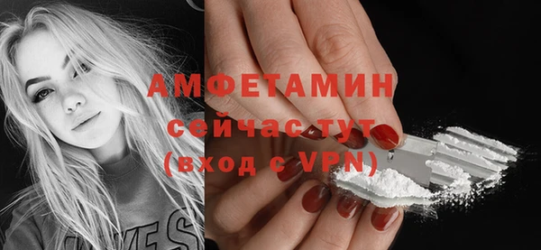 стафф Каменка