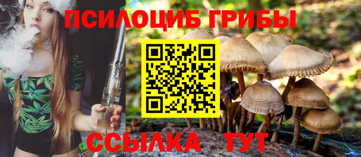 Галлюциногенные грибы Psilocybe  Вход с VPN  Галлюциногенные грибы MAGIC MUSHROOMS  Конаково 